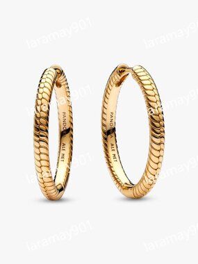 Pandora Moments Charm Hoop Earrings